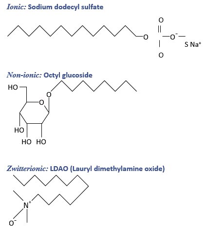 Chemical structures of selected detergents from the different classes Chemical structures of selected detergents from the different classes