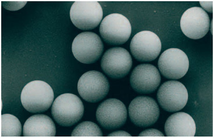 Electron micrograph of SOURCE™ showing spherical, monodispersed particles. Electron micrograph of SOURCE™ showing spherical, monodispersed particles.