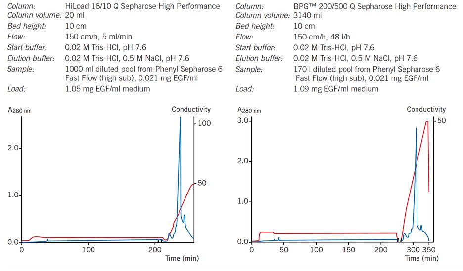 Elution pattern, purity and yield are maintained when scaling-up from a HiLoad column to a BPG column. Elution pattern, purity and yield are maintained when scaling-up from a HiLoad column to a BPG column
