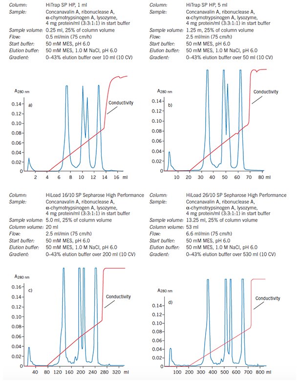 Reproducibility maintained as purification is scaled up from a 1 ml HiTrap column through to a 53 ml HiLoad 26/10 SP Sepharose High Performance column. Reproducibility maintained as purification is scaled up from a 1 ml HiTrap column through to a 53 ml HiLoad 26/10 SP Sepharose High Performance column