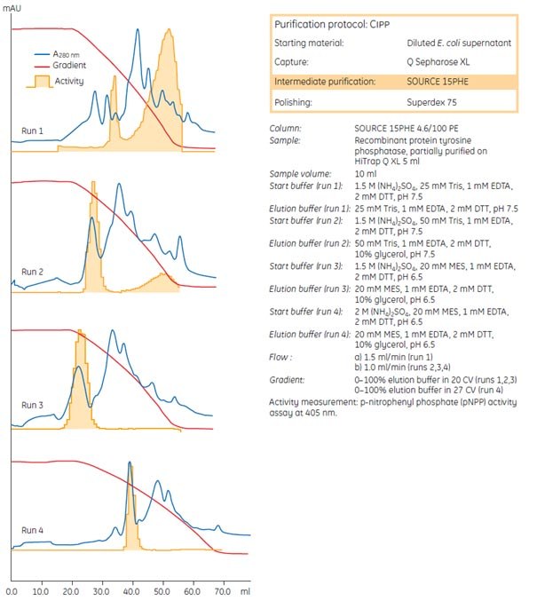 Intermediate purification of recombinant protein Optimization steps for intermediate purification of a recombinant protein.