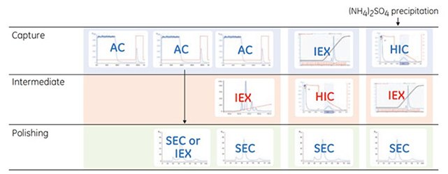 Examples of logical combinations of chromatography steps. Examples of logical combinations of chromatography steps.