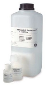 Protein G Sepharose Protein G Sepharose