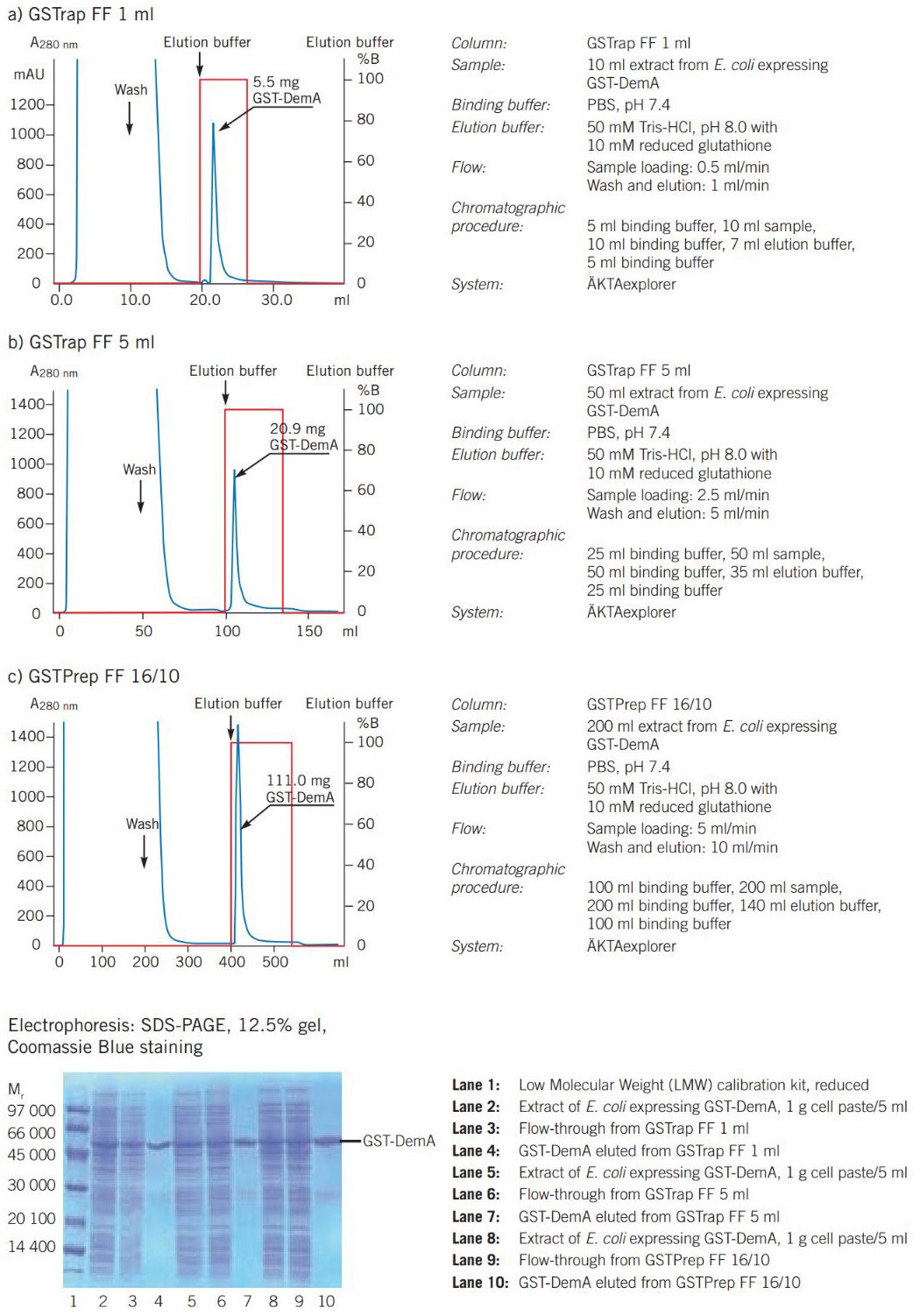 Scaling up purifcation of a GST fusion protein Scaling up purifcation of a GST fusion protein.