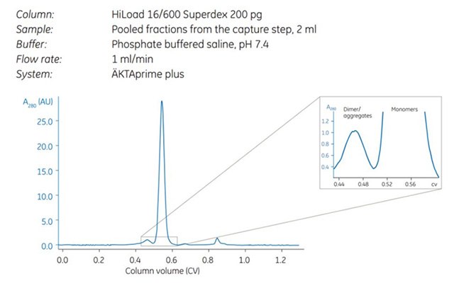 Note the separation between dimers and monomers (magnified). Note the separation between dimers and monomers (magnified).