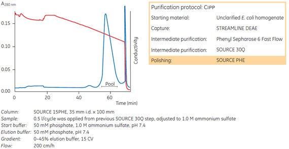 Source 15phe as final polishing step SOURCE™ 15PHE used as the final polishing step in a large-scale purification of a recombinant protein, rExotoxin A (PE553D).