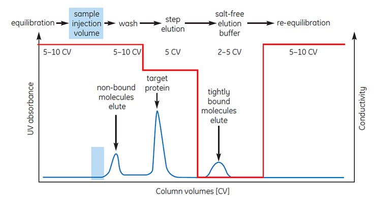 Typical HIC separation using step elution. Typical HIC separation using step elution.