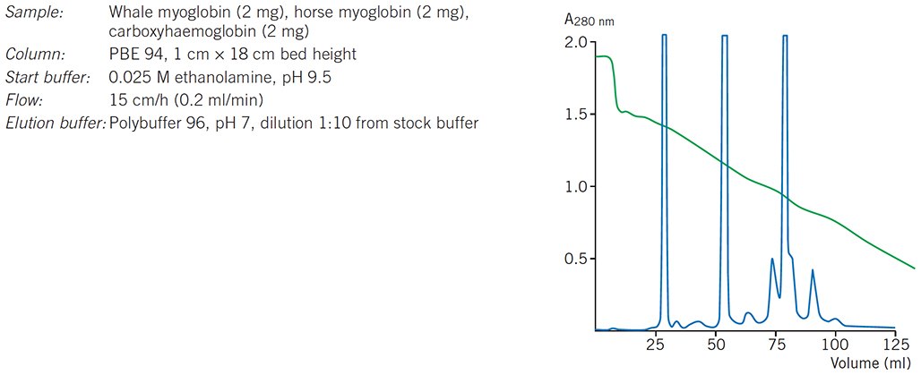 Chromatofocusing of standard protein mixture Chromatofocusing of standard protein mixture