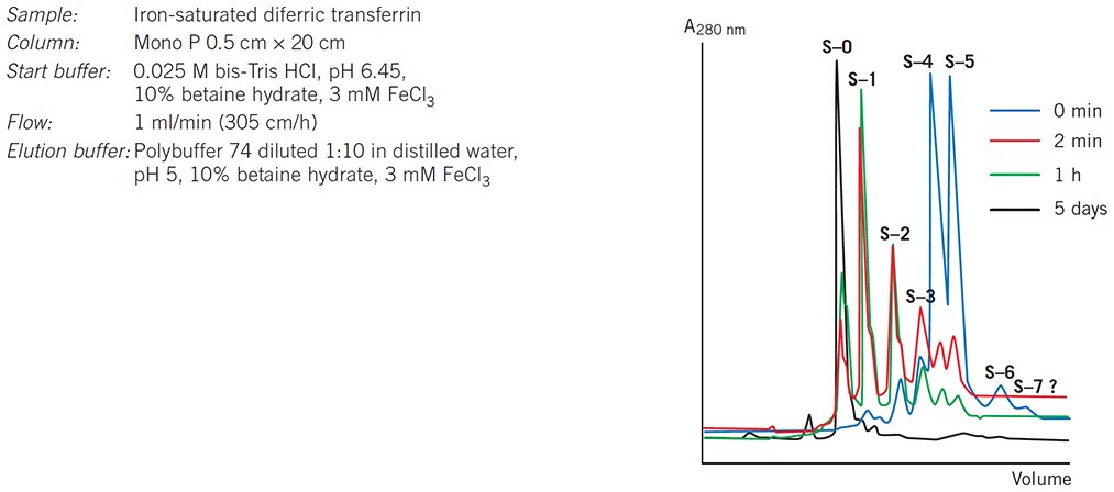 Following the desialylation of transferrin Following the desialylation of transferrin