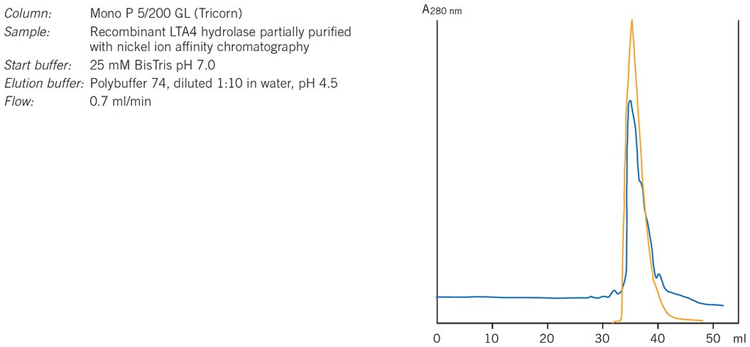 Purification of leukotriene A4 hydrolase. Results courtesy of Eva Ohlson, Karolinska Institutet, Stockholm, Sweden Purification of leukotriene A4 hydrolase. Results courtesy of Eva Ohlson, Karolinska Institutet, Stockholm, Sweden