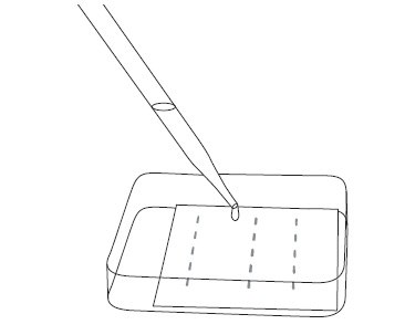 Block membrane by incubating in 2% non-fat dry milk blot buffer