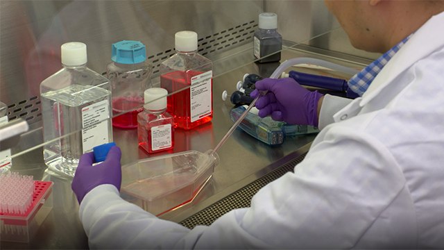 Cell Passaging Cell Passaging
