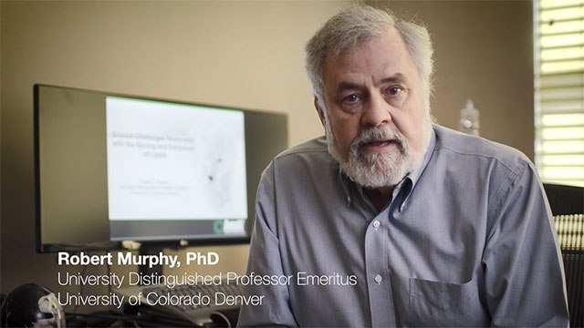 DMABA Derivatization: Aminophospholipid Detection Multiplexing DMABA Derivatization: Aminophospholipid Detection Multiplexing