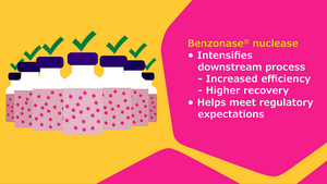 Video Poster Efficient DNA Clearance Video image llustration of bottles filled with a substance on a yellow background