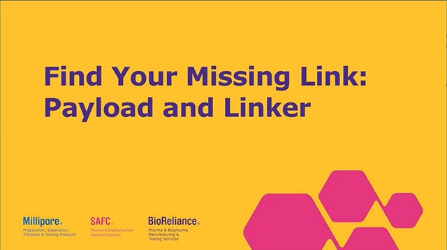 Find Your Missing Link Find Your Missing Link