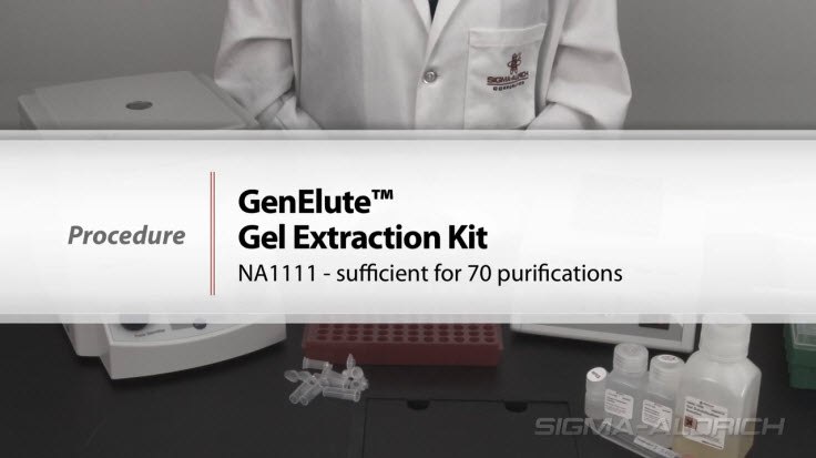 GenElute™ Gel Extraction Procedure GenElute™ Gel Extraction Procedure