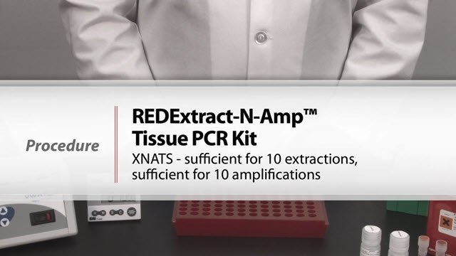 REDExtract-N-Amp™ Tissue PCR Kit REDExtract-N-Amp™ Tissue PCR Kit