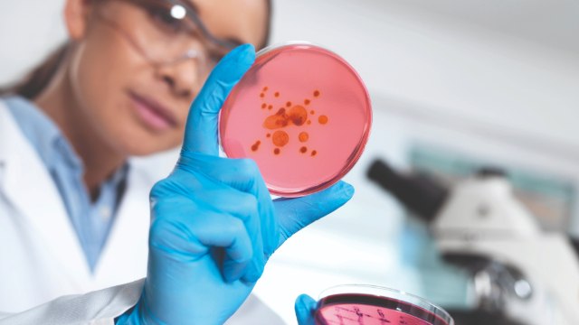 <p>Guidance to ISO 11133 Compliance: Water Sourcing for Microbiology Culture Media</p>
 Scientist holding petri dish