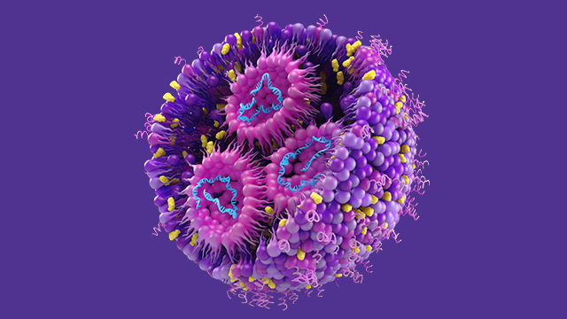 LNP Animation Video LNP Animation Video