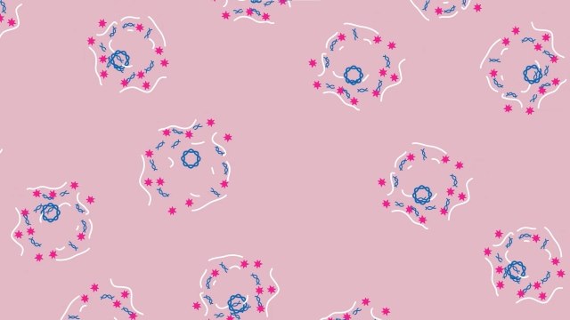 <p>Efficient DNA Clearance</p>
 Illustration of DNA strands undergoing efficient clearance, surrounded by pink molecules against a light purple backdrop, symbolizing advanced molecular biology techniques.