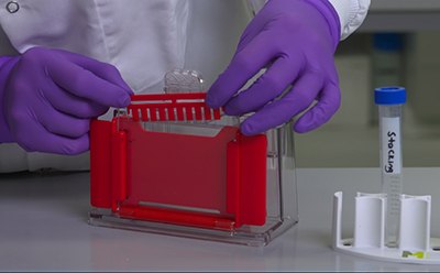 TurboMix™ Bis-Tris Gel Casting Kit Demo TurboMix™ Bis-Tris Gel Casting Kit Demo