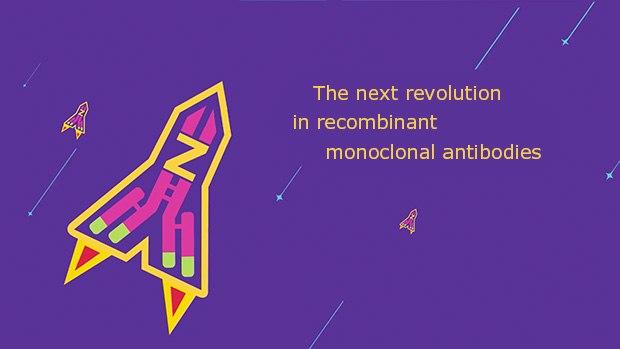 ZooMAb<sup>®</sup> Recombinant Monoclonal Antibodies Overview