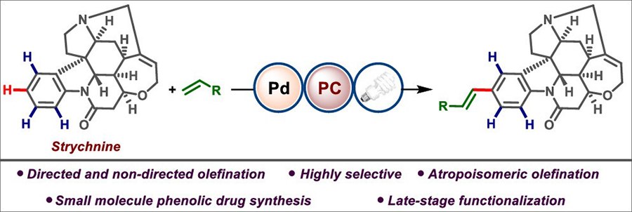 Fujiwara–Moritani reaction