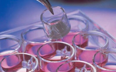 Millicell culture plates and inserts support Millicell® cultureware for biologically relevant results