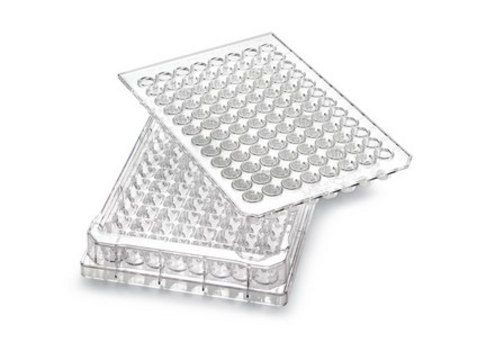 Multiscreen® 96 well Plate, polycarbonate membrane pore size 0.45 μm, non-sterile