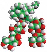 Facade&#8482;-EM 3&#945;-hydroxy-7&#945;,12&#945;-di-((O-&#946;-D-maltosyl)-2-hydroxyethoxy)-cholane, powder