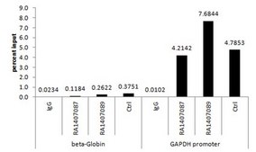 Anti-acetyl-Histone H3 (Lys9) Antibody Upstate&#174;, from rabbit