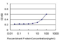ANTI-SMAD4 antibody produced in mouse clone 3D7, purified immunoglobulin, buffered aqueous solution