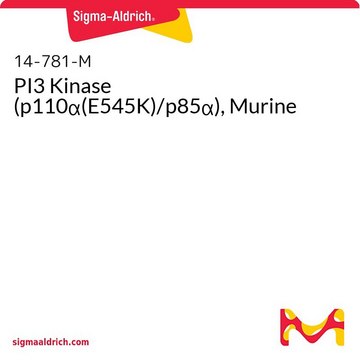 PI3 Kinase (p110&#945;(E545K)/p85&#945;), Murine