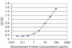 Monoclonal Anti-SLC2A4, (C-terminal) antibody produced in mouse clone 1F12, purified immunoglobulin, buffered aqueous solution