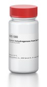 Alcohol Dehydrogenase from Saccharomyces cerevisiae powder, &#8805;300&#160;units/mg protein, mol wt ~141,000 (four subunits)