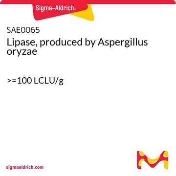 Lipase, produced by Aspergillus oryzae &gt;=100 LCLU/g