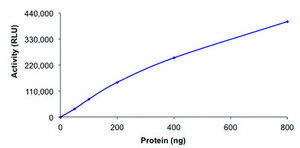 PI3K (p110-&#945;/p55-&#947;), active, His tagged human PRECISIO&#174;, recombinant, expressed in baculovirus infected Sf9 cells, &#8805;70% (SDS-PAGE), buffered aqueous glycerol solution
