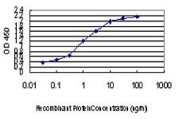 Monoclonal Anti-MYBPC1 antibody produced in mouse clone 3G4, purified immunoglobulin, buffered aqueous solution