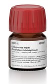 Collagenase from Clostridium histolyticum Type IV, Vetec&#8482;, reagent grade, powder, &#8805;160&#160;CDU/mg solid