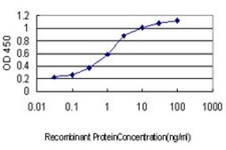 Monoclonal Anti-CDC25A antibody produced in mouse clone 3D5, purified immunoglobulin, buffered aqueous solution