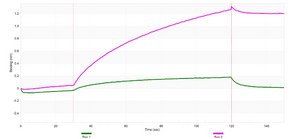 Anti-FKHR/FOXO1 Antibody, clone 1D21 ZooMAb&#174; Rabbit Monoclonal recombinant, expressed in HEK 293 cells