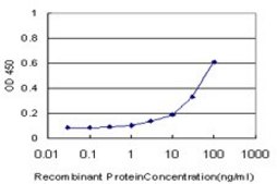 Monoclonal Anti-NR0B1, (C-terminal) antibody produced in mouse clone 1F10, purified immunoglobulin, buffered aqueous solution