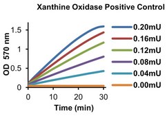 Xanthine Oxidase from bovine milk Grade III, ammonium sulfate suspension, &#8805;0.8&#160;units/mg protein