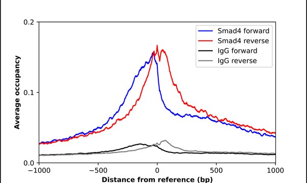 Anti-SMAD4 antibody produced in rabbit Prestige Antibodies&#174; Powered by Atlas Antibodies, affinity isolated antibody, buffered aqueous glycerol solution