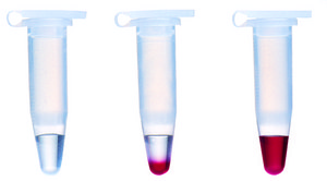 REDTaq® DNA Polymerase Taq for routine PCR with inert dye, 10X buffer included