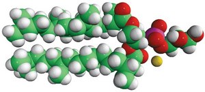 4ME 16:0 PG 1,2-diphytanoyl-sn-glycero-3-phospho-(1&#8242;-rac-glycerol) (sodium salt), powder