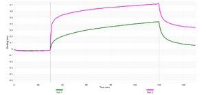 Anti-PVR/CD155 Antibody, clone SKII.4 ZooMAb&#174; Mouse Monoclonal recombinant, expressed in HEK 293 cells