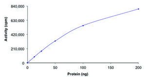 LYN A, active, GST tagged human PRECISIO&#174;, recombinant, expressed in baculovirus infected Sf9 cells, &#8805;70% (SDS-PAGE), buffered aqueous glycerol solution