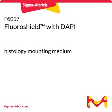 Fluoroshield&#8482; with DAPI histology mounting medium