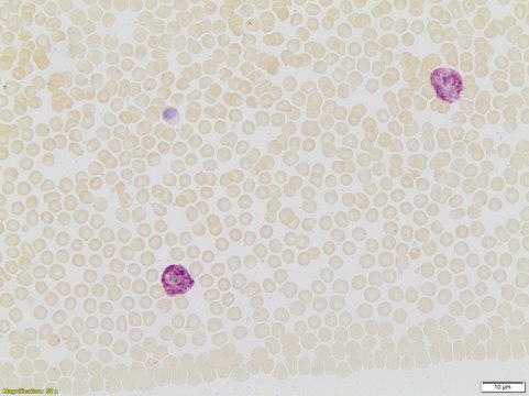 TRIZMAL&#8482; 6.3 Buffer Concentrate pH 6.3(concentrate), 0.2&#160;M